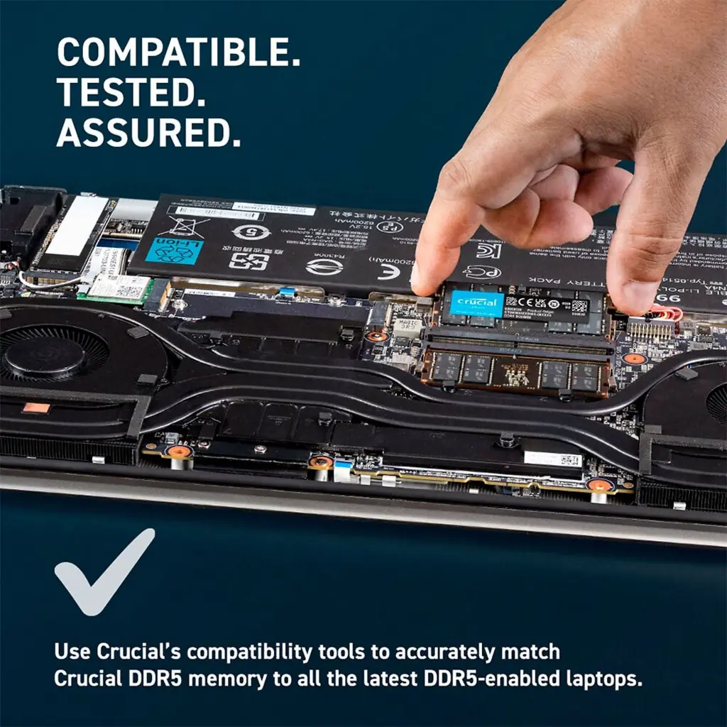 Crucial, 16GB, DDR5 - In Laptop.webp